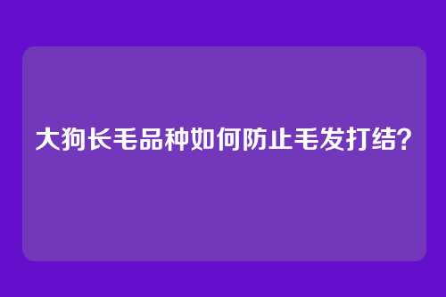 大狗长毛品种如何防止毛发打结？