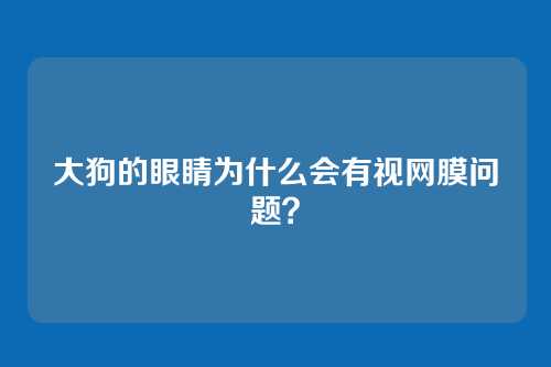 大狗的眼睛为什么会有视网膜问题？