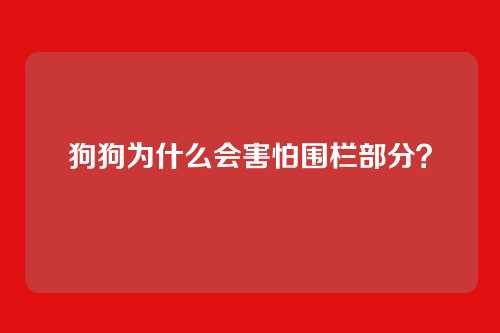 狗狗为什么会害怕围栏部分？