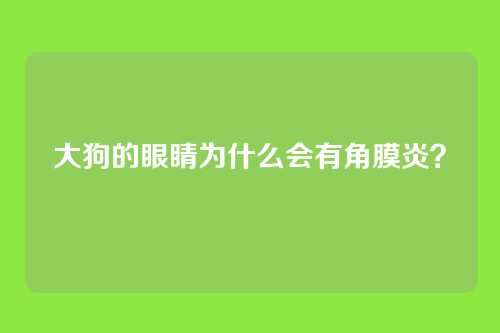大狗的眼睛为什么会有角膜炎？