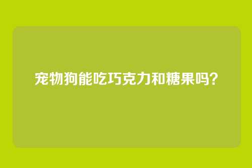 宠物狗能吃巧克力和糖果吗？