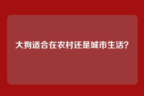 大狗适合在农村还是城市生活？