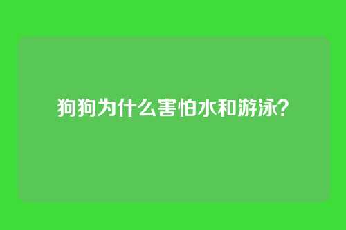 狗狗为什么害怕水和游泳？