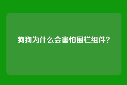 狗狗为什么会害怕围栏组件？