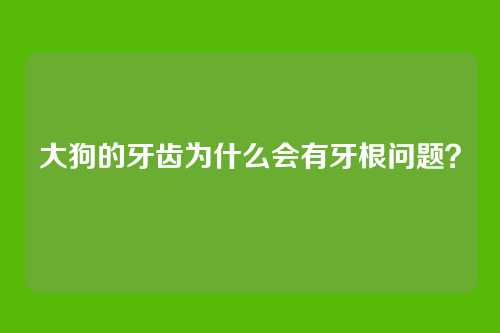 大狗的牙齿为什么会有牙根问题？