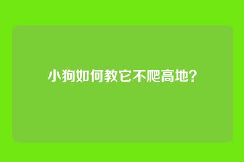 小狗如何教它不爬高地？