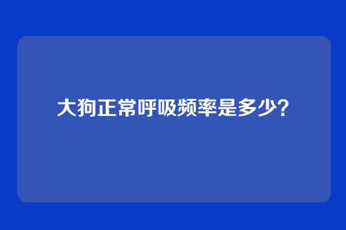 大狗正常呼吸频率是多少？