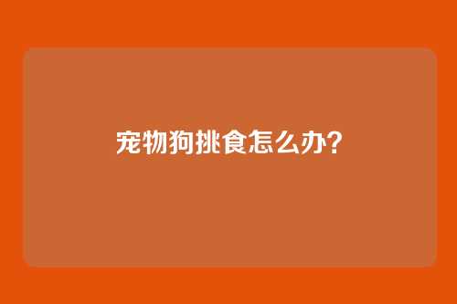 宠物狗挑食怎么办？