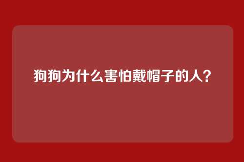 狗狗为什么害怕戴帽子的人？