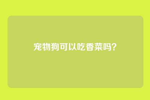 宠物狗可以吃香菜吗？