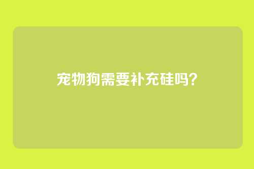 宠物狗需要补充硅吗？
