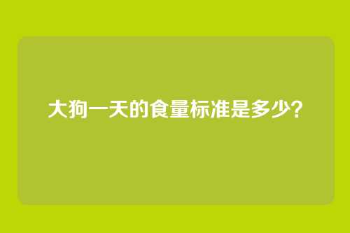 大狗一天的食量标准是多少？