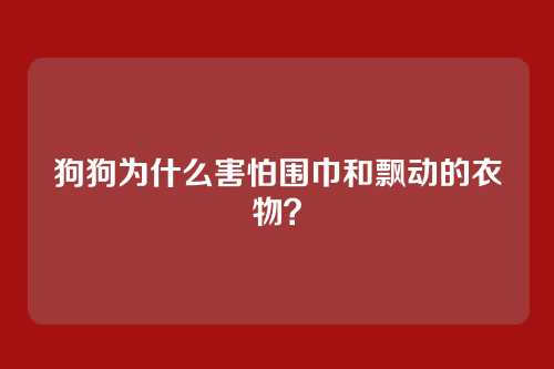 狗狗为什么害怕围巾和飘动的衣物？