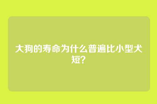 大狗的寿命为什么普遍比小型犬短？