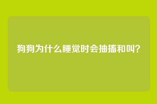 狗狗为什么睡觉时会抽搐和叫？