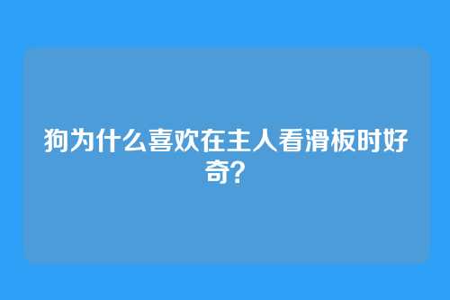 狗为什么喜欢在主人看滑板时好奇？
