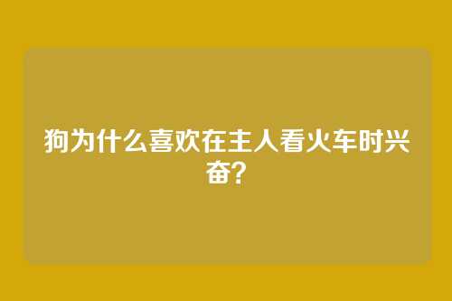 狗为什么喜欢在主人看火车时兴奋？