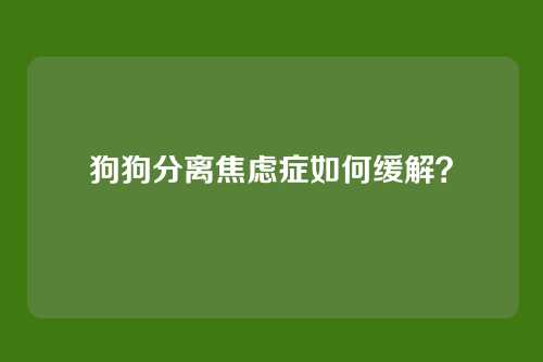 狗狗分离焦虑症如何缓解？