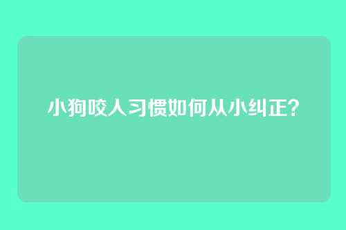 小狗咬人习惯如何从小纠正？