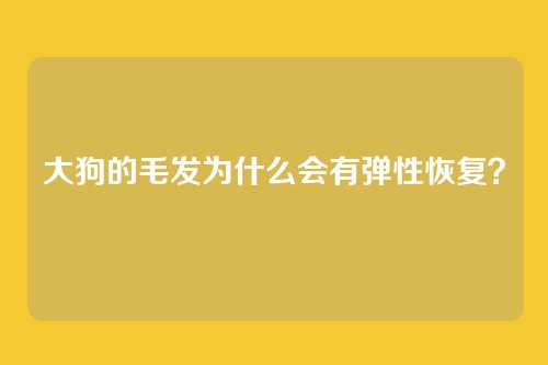 大狗的毛发为什么会有弹性恢复？