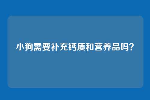 小狗需要补充钙质和营养品吗？
