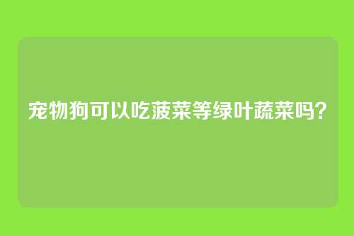 宠物狗可以吃菠菜等绿叶蔬菜吗？