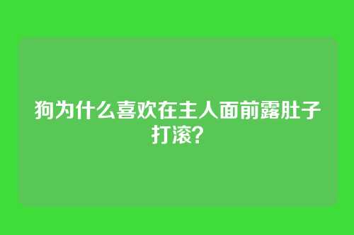 狗为什么喜欢在主人面前露肚子打滚？