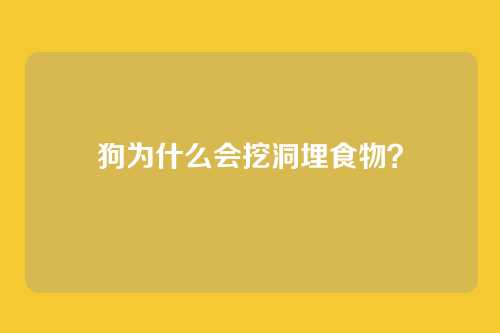 狗为什么会挖洞埋食物？