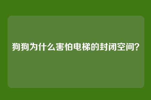 狗狗为什么害怕电梯的封闭空间？
