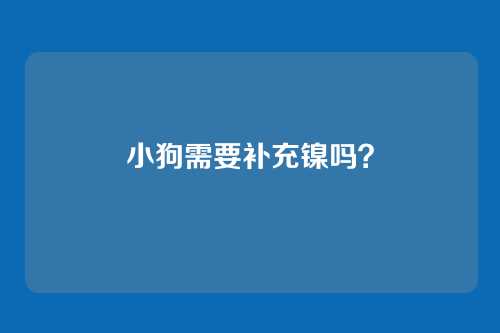 小狗需要补充镍吗？