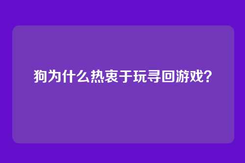 狗为什么热衷于玩寻回游戏？