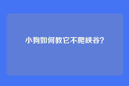 小狗如何教它不爬峡谷？