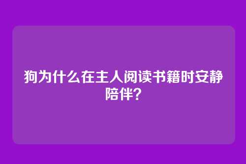 狗为什么在主人阅读书籍时安静陪伴？