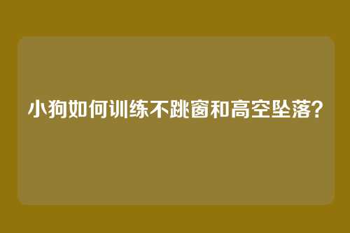 小狗如何训练不跳窗和高空坠落？