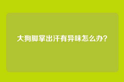 大狗脚掌出汗有异味怎么办？