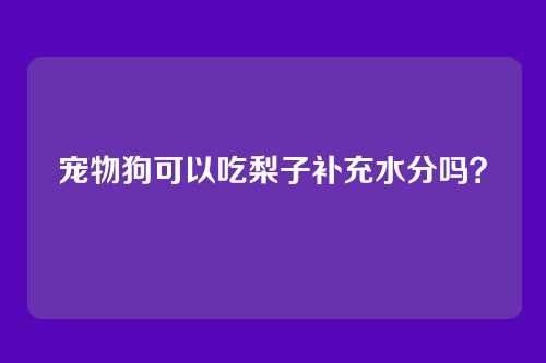 宠物狗可以吃梨子补充水分吗？