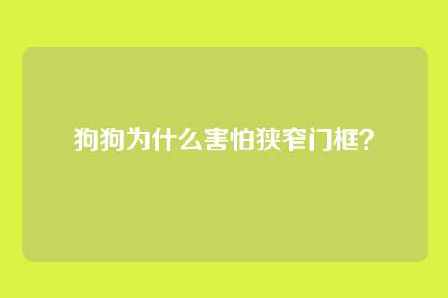 狗狗为什么害怕狭窄门框？