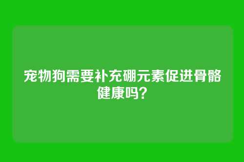 宠物狗需要补充硼元素促进骨骼健康吗？