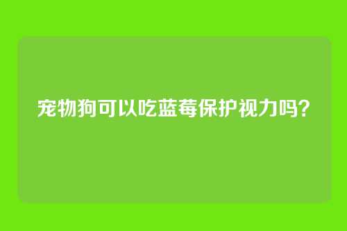 宠物狗可以吃蓝莓保护视力吗？