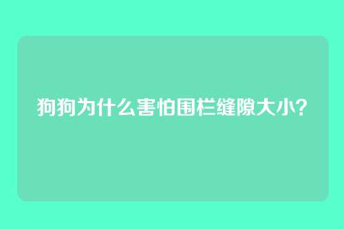 狗狗为什么害怕围栏缝隙大小？