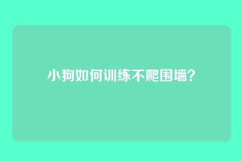 小狗如何训练不爬围墙？