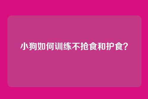 小狗如何训练不抢食和护食？