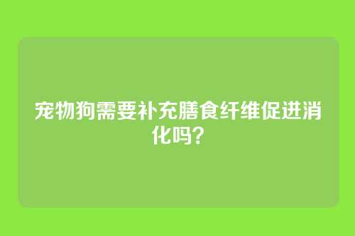 宠物狗需要补充膳食纤维促进消化吗？