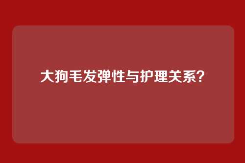 大狗毛发弹性与护理关系？