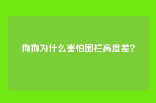 狗狗为什么害怕围栏高度差？