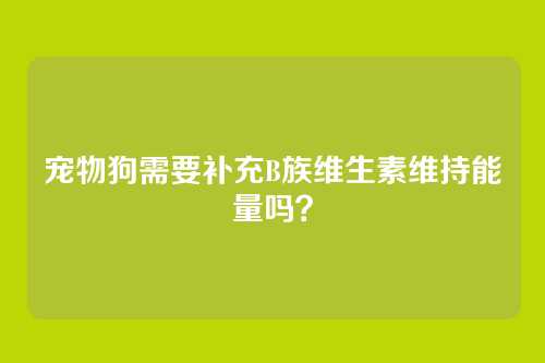 宠物狗需要补充B族维生素维持能量吗？