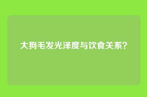 大狗毛发光泽度与饮食关系？