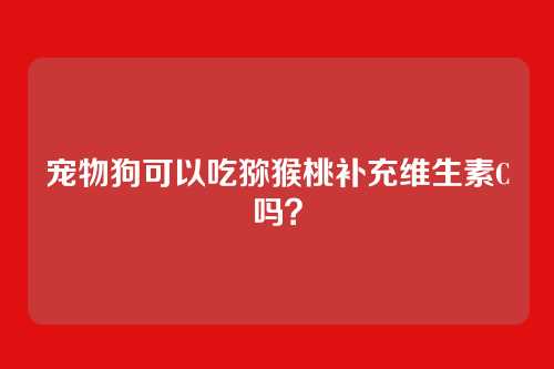宠物狗可以吃猕猴桃补充维生素C吗？