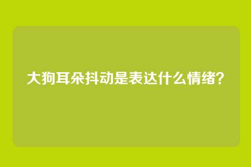 大狗耳朵抖动是表达什么情绪？