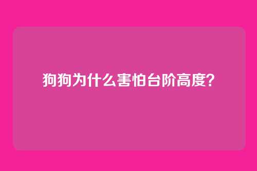 狗狗为什么害怕台阶高度？